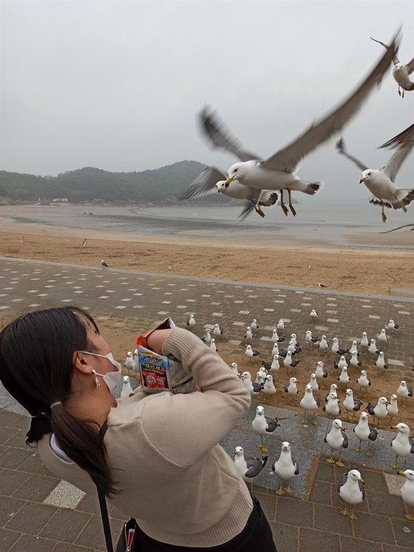 Jepretan Tepat Di Waktu Yang Salah